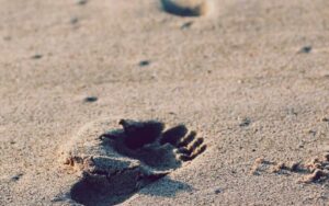 Articles et conseils - Trauma complexe : quand le passé laisse des traces dans le présent