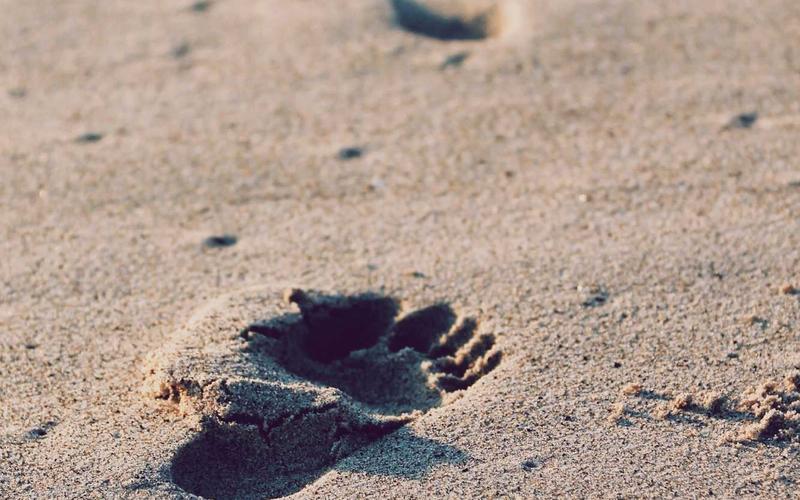 Articles et conseils - Trauma complexe : quand le passé laisse des traces dans le présent